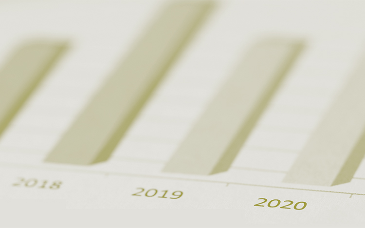 Consolidated Annual Activity Report